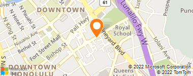 Insurance Agency & Insurance Agent - Bail Bonds Da Kine