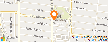 Insurance Agency & Insurance Agent - A1 Insurnace-Zoila Valera