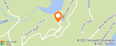 Insurance Agency & Insurance Agent - Aig