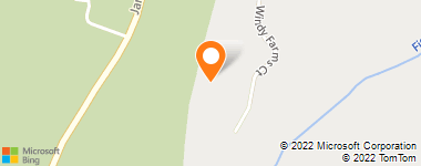 Insurance Agency & Insurance Agent - Insurance Alternatives Inc