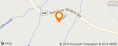 Insurance Agency & Insurance Agent - New York Life Insurance