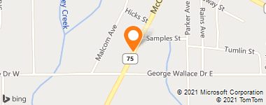 Insurance Agency & Insurance Agent - Alfa Insurance